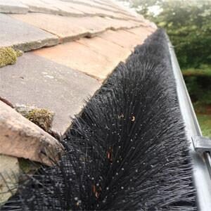 Gutter Brush